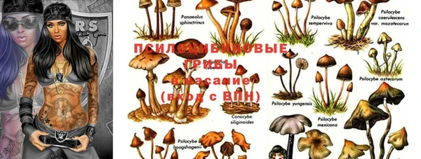 соль ск Белокуриха