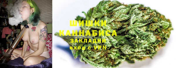 соль ск Белокуриха