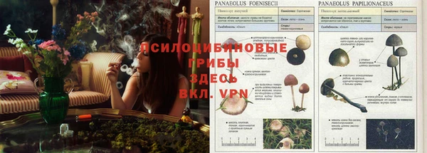 марихуана Беломорск